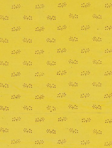 el paper de paret groc charlotte perkins gilman català feminista conte relat yellow wallpaper traducció