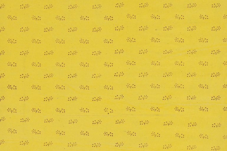 el paper de paret groc charlotte perkins gilman català feminista conte relat yellow wallpaper traducció